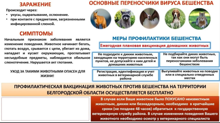 ВНИМАНИЕ БЕШЕНСТВО!. ВНИМАНИЕ БЕШЕНСТВО!.